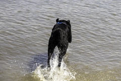 MG_9610