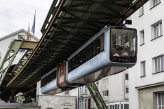 MG_9781