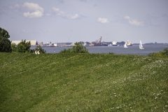 MG_9651