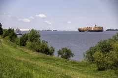 MG_9655